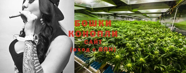 PSILOCYBIN Инта