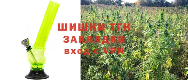 PSILOCYBIN Инта