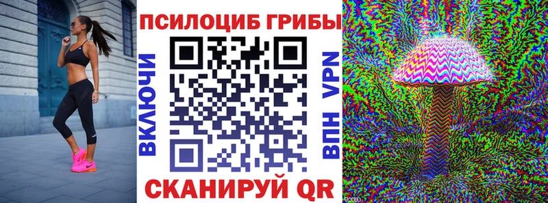 Купить  Верея  Псилоцибиновые грибы Psilocybine cubensis 