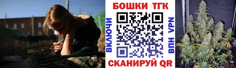 Купить  Верея  Бошки Шишки VHQ 