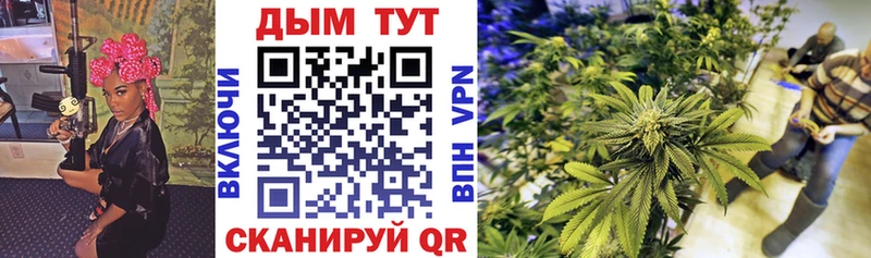 Марихуана OG Kush Верея